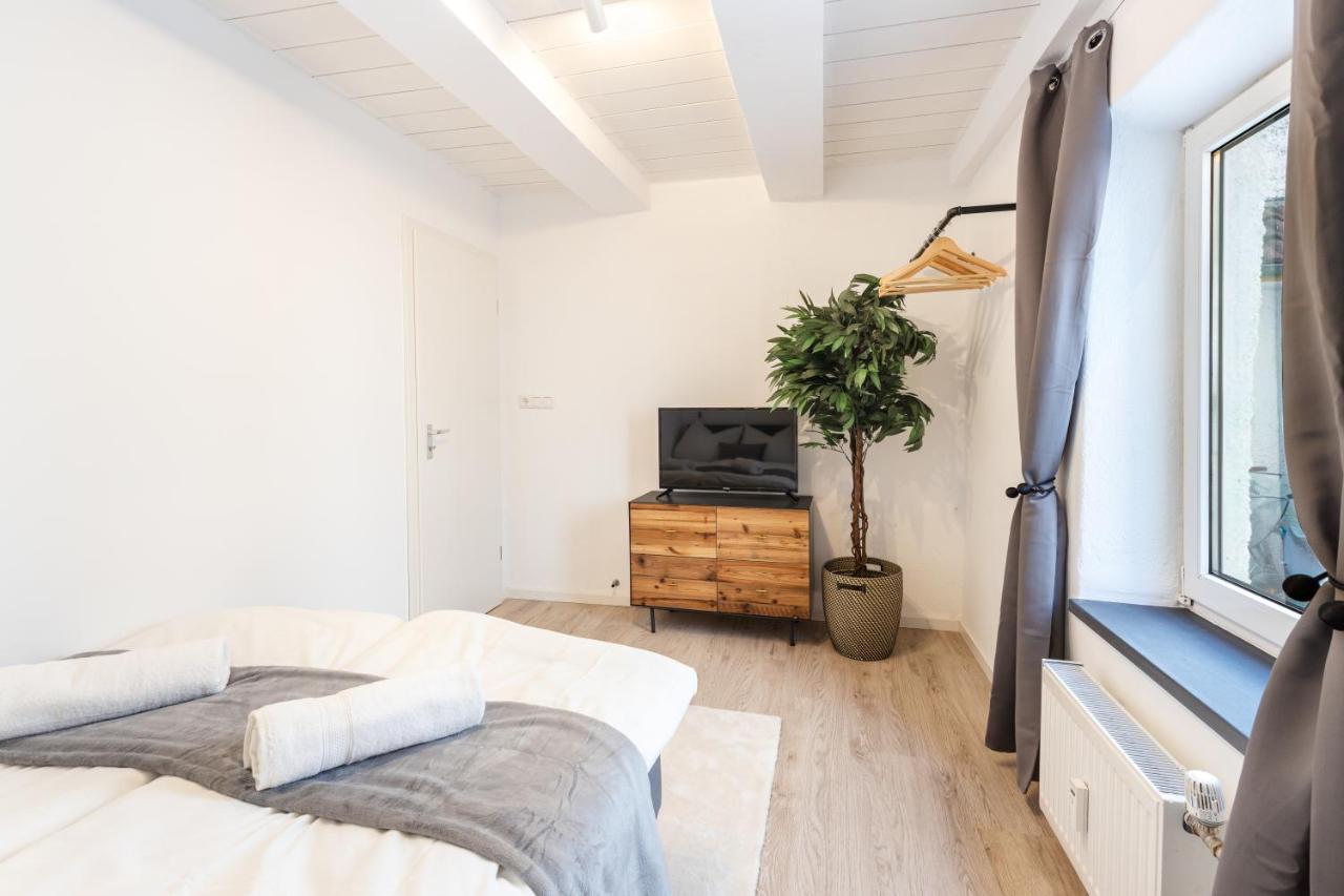 Terrace Apartment With 5 Rooms, Whirlpool And Bbq Augsburg Exteriér fotografie